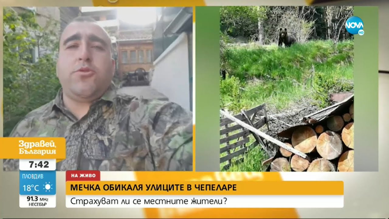 Мечка всява страх сред жителите на Чепеларе - Здравей, България (23.05.2022)