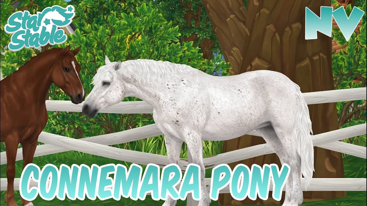 Das Connemara-Pony - Trailer / Star Stable ✨