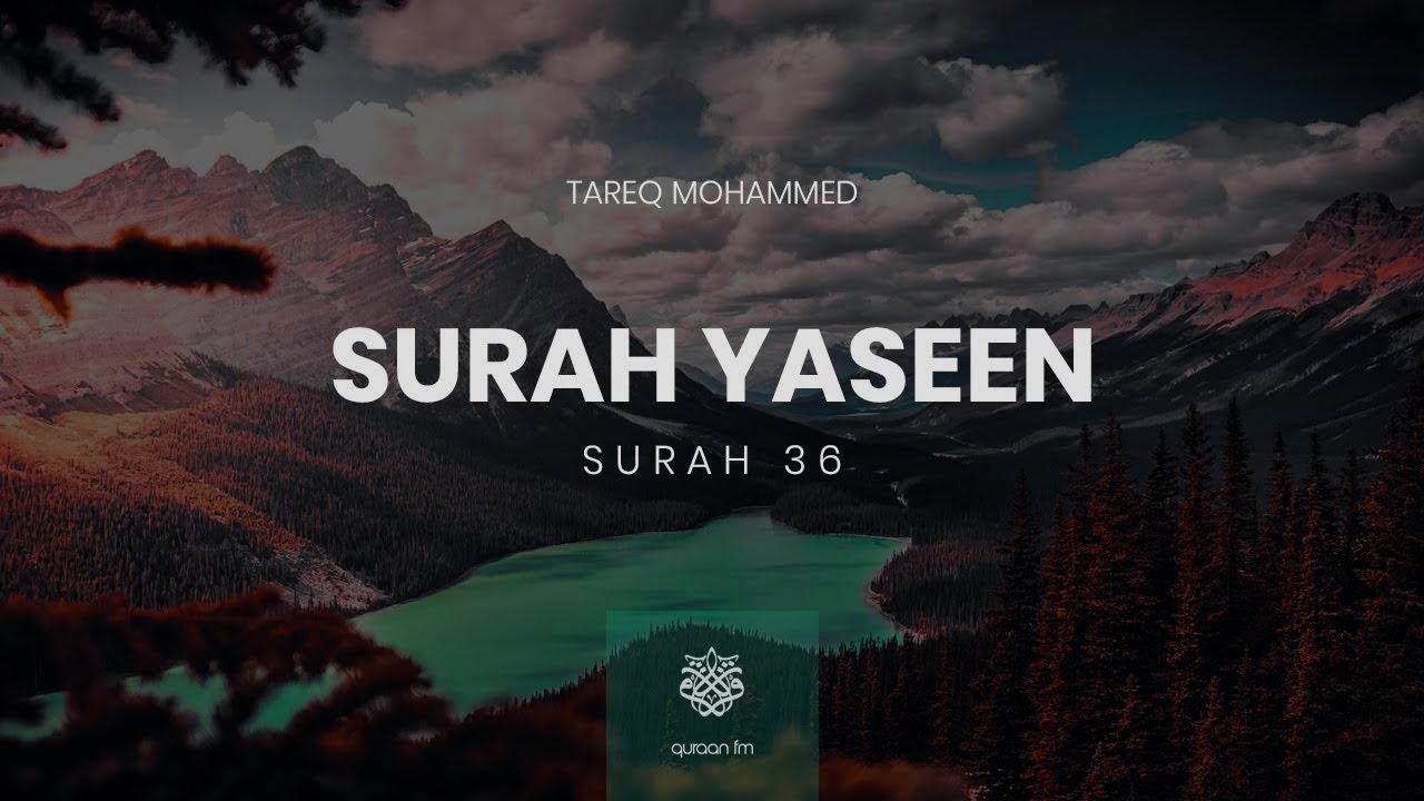 Surah yaseen|tareq mohammed