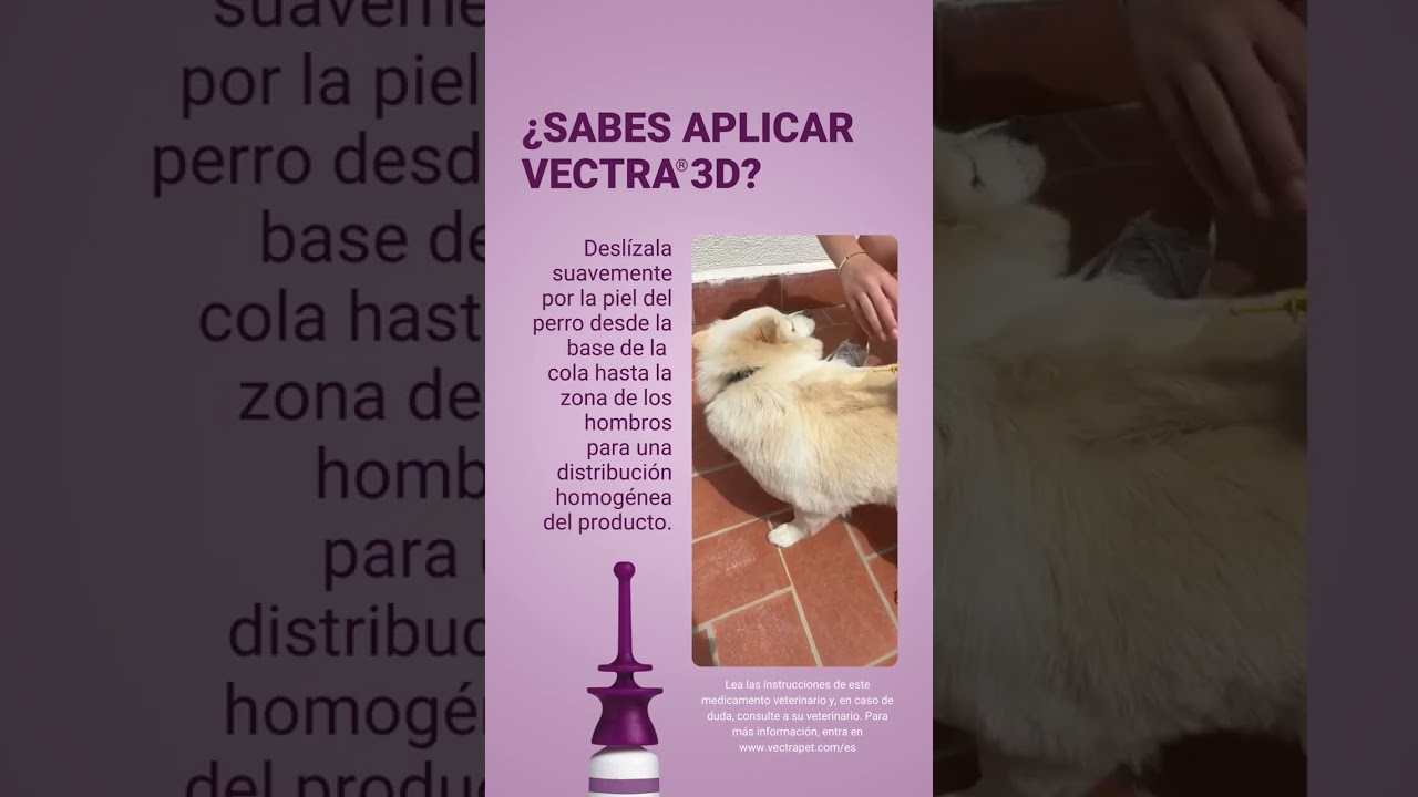 Te ense&ntilde;amos a aplicar Vectra 3D💜