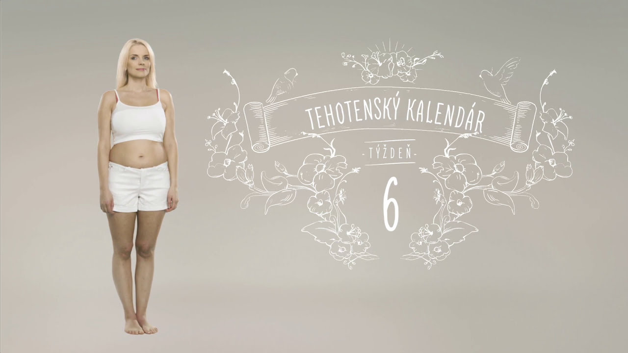 Tehotenský kalendár: 6. týždeň