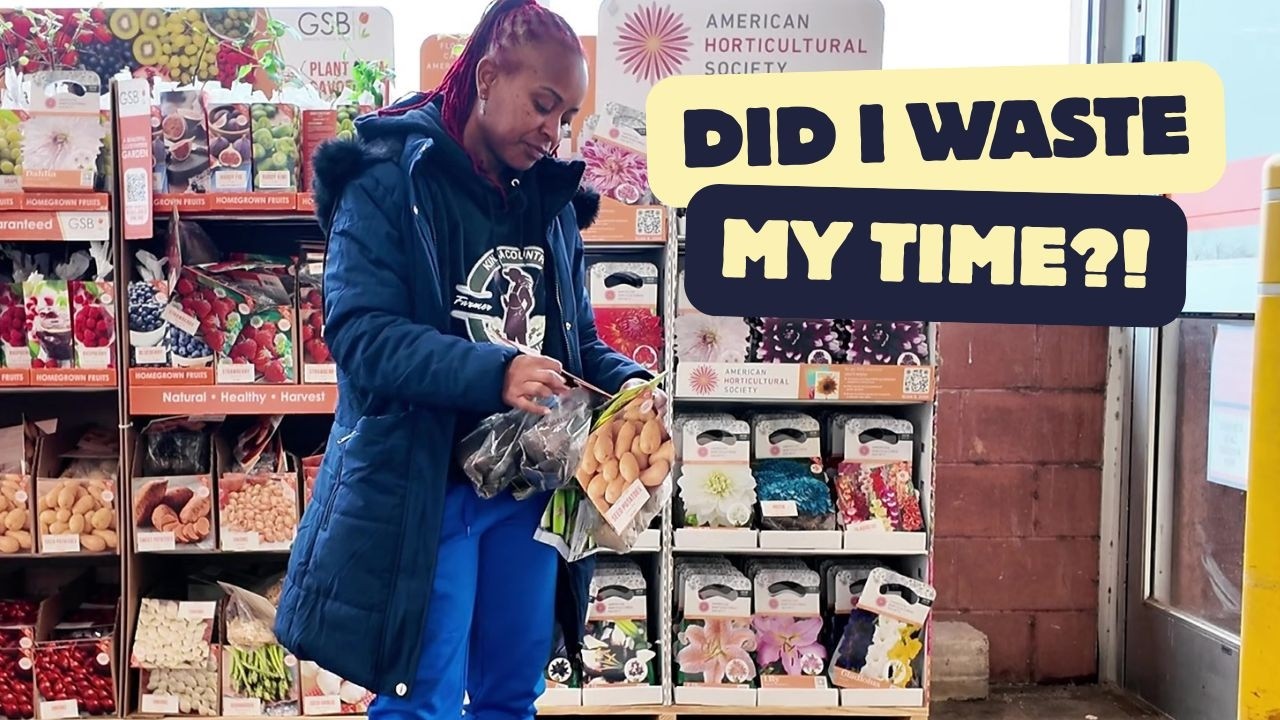 This Big Box Store Really Came Through… Not.