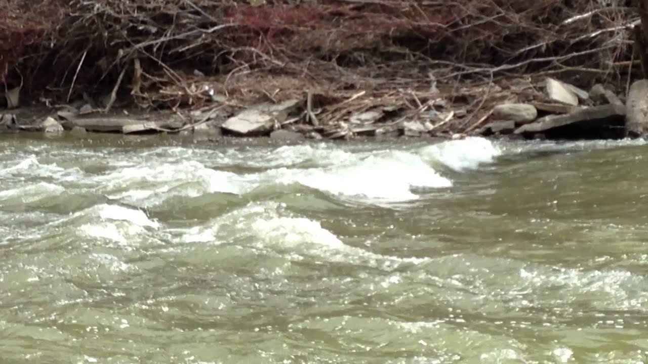 A Late Spring - Humber River Valley