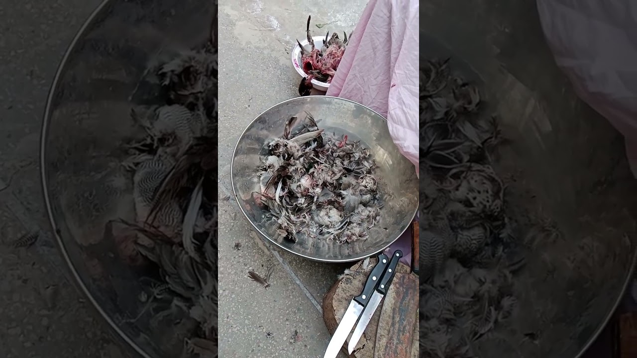 @murghabi ka Salan or Bazar shopping #