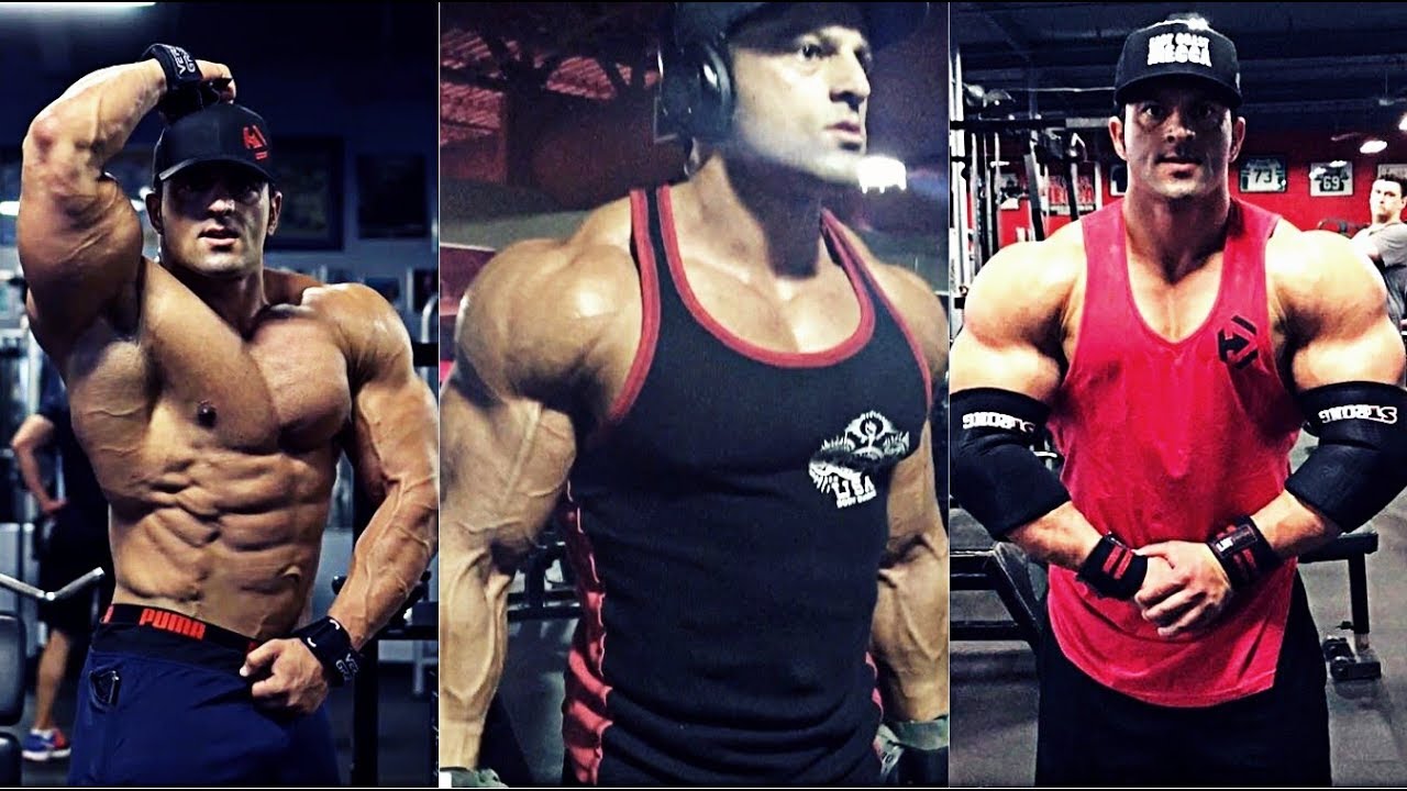 2016 OLYMPIA 2nd Champion Arash Rahbar Workout