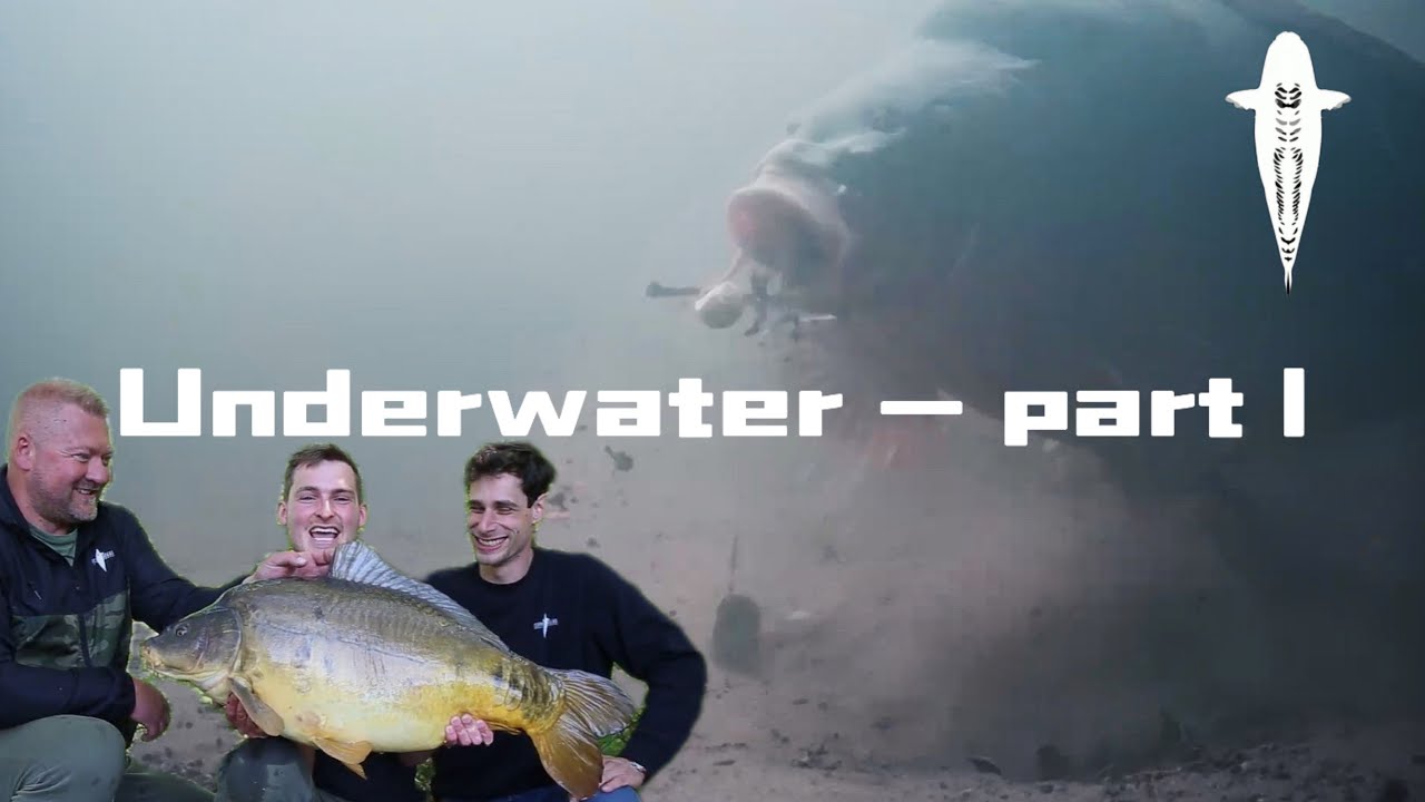 Cuyten Boilies - UNDERWATER part 1