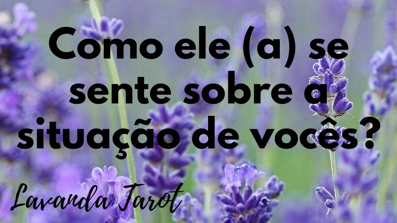 #tarot 💜🪻 Como ele (a) se sente sobre a situação de vocês?💜🪻