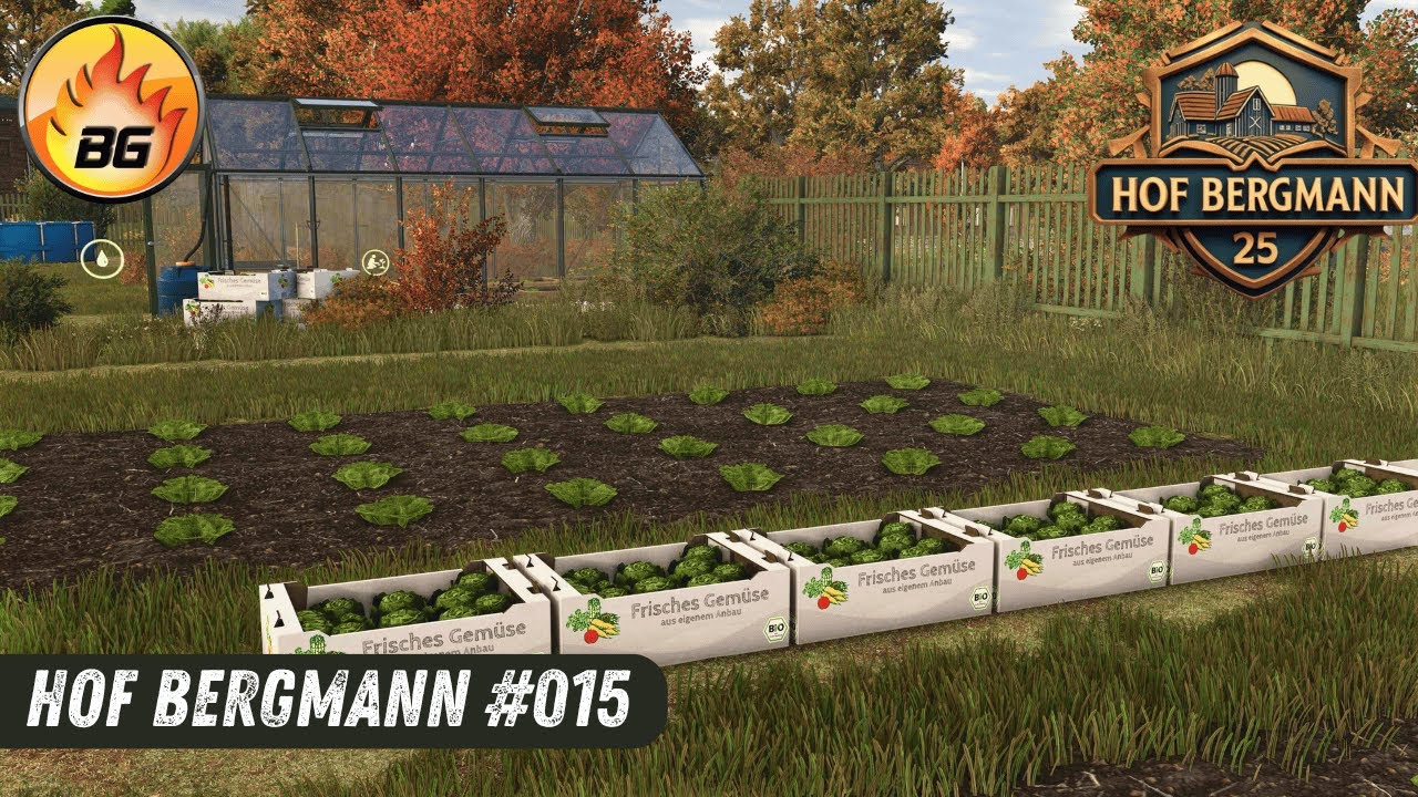 Die erste SALAT-ERNTE | Hof Bergmann #015  | Landwirtschafts-Simulator 25