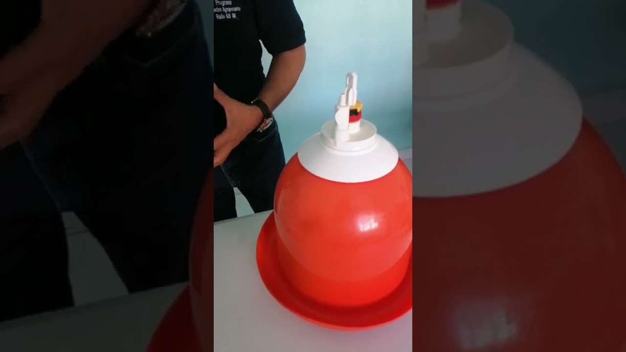 bebedero automatico colgante tipo campana, su armado ,forma de uso y cantidad por aves.