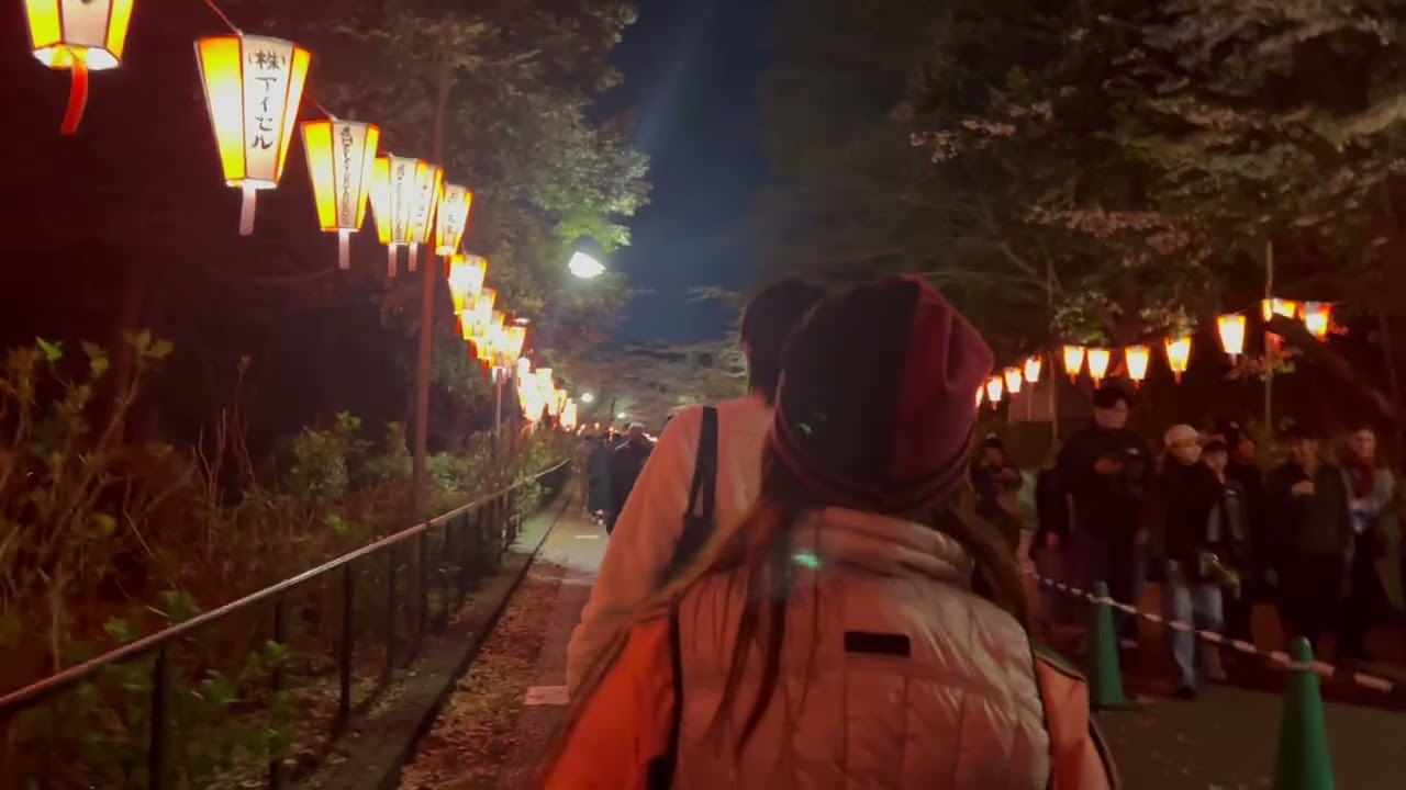 Tokyo by night Cherry Blossom park . 4/2025