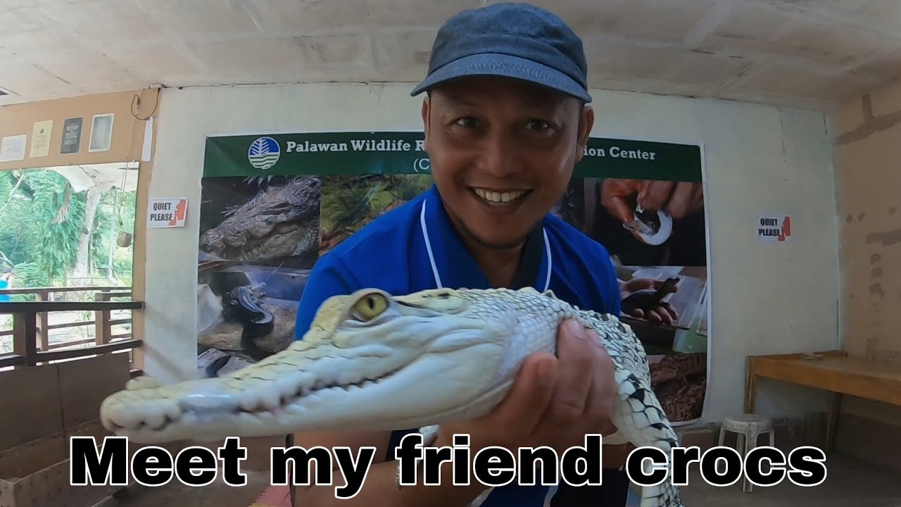 Where to find Crocodiles? Palawan Wildlife Rescue and conservation center