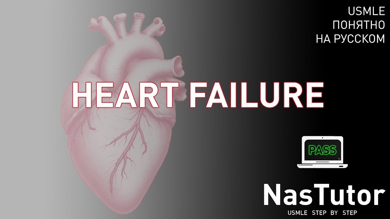 Сердечная недостаточность: HFrEF, HFpEF, патогенез и клиника | USMLE Степ 1 и 2 на русском