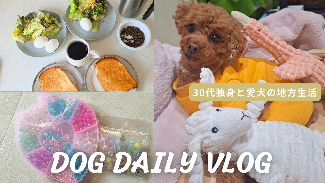 【Vlog】犬と暮らす、何気ない一日｜ファッションセンス爆発｜ぜったい渡さないお気に入り🐶