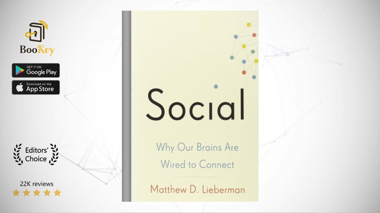 Social   Book Summary By Matthew D.Lieberman  Why our Brains are wired to Connect