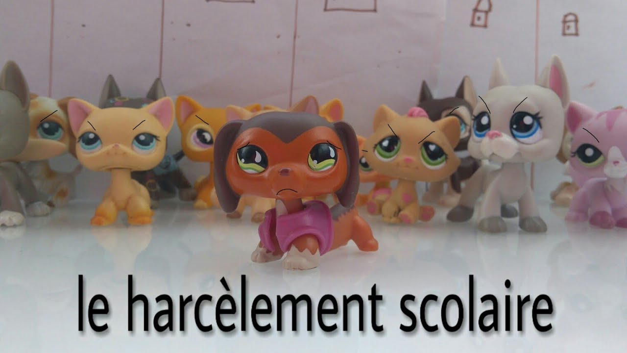 Le harcèlement scolaire (court métrage lps)