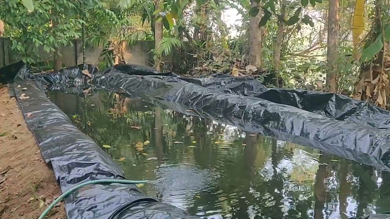 Pond update part 7