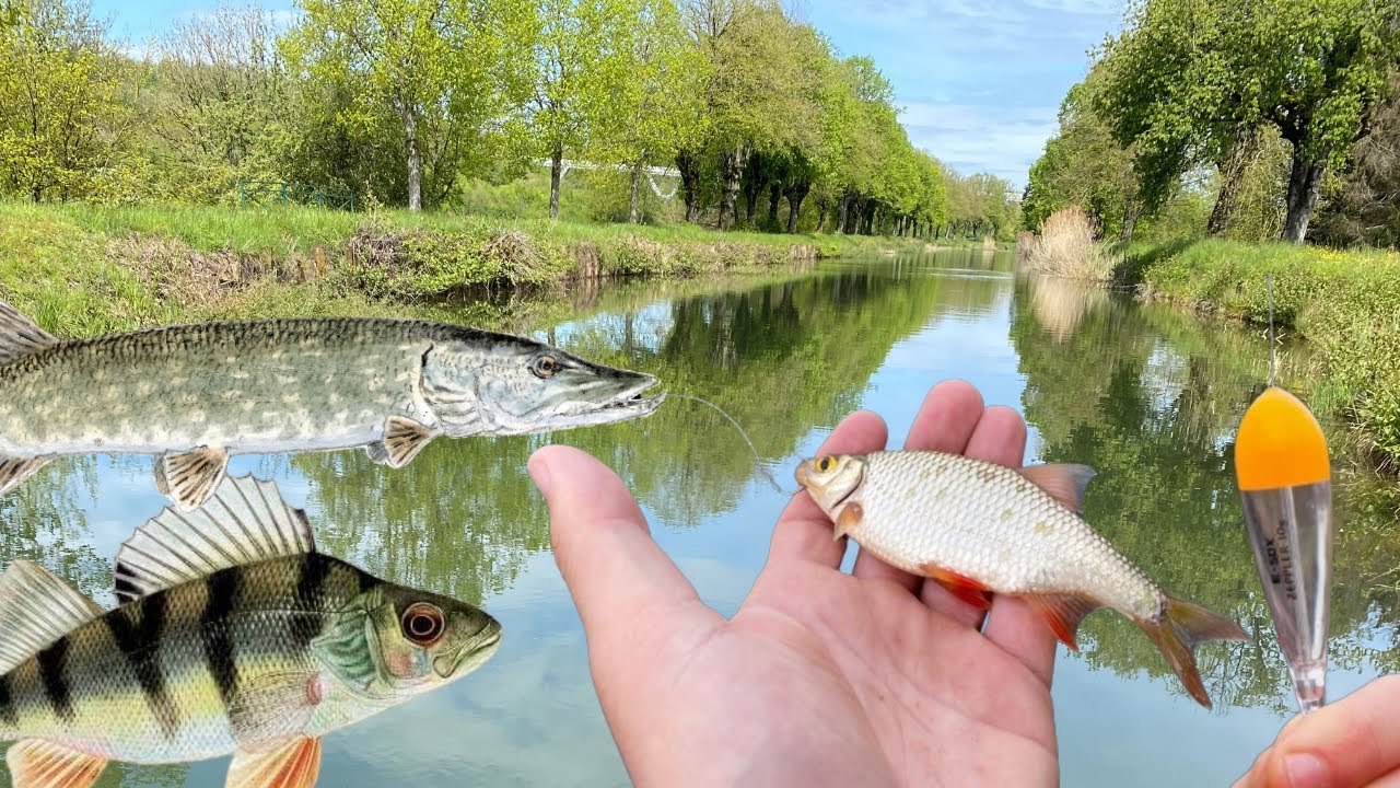 PECHE au VIF au BOUCHON - Rivi&egrave;re Etang Canal - 4K