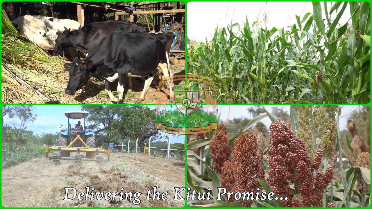 Kitui Agriculture Documentary 2024
