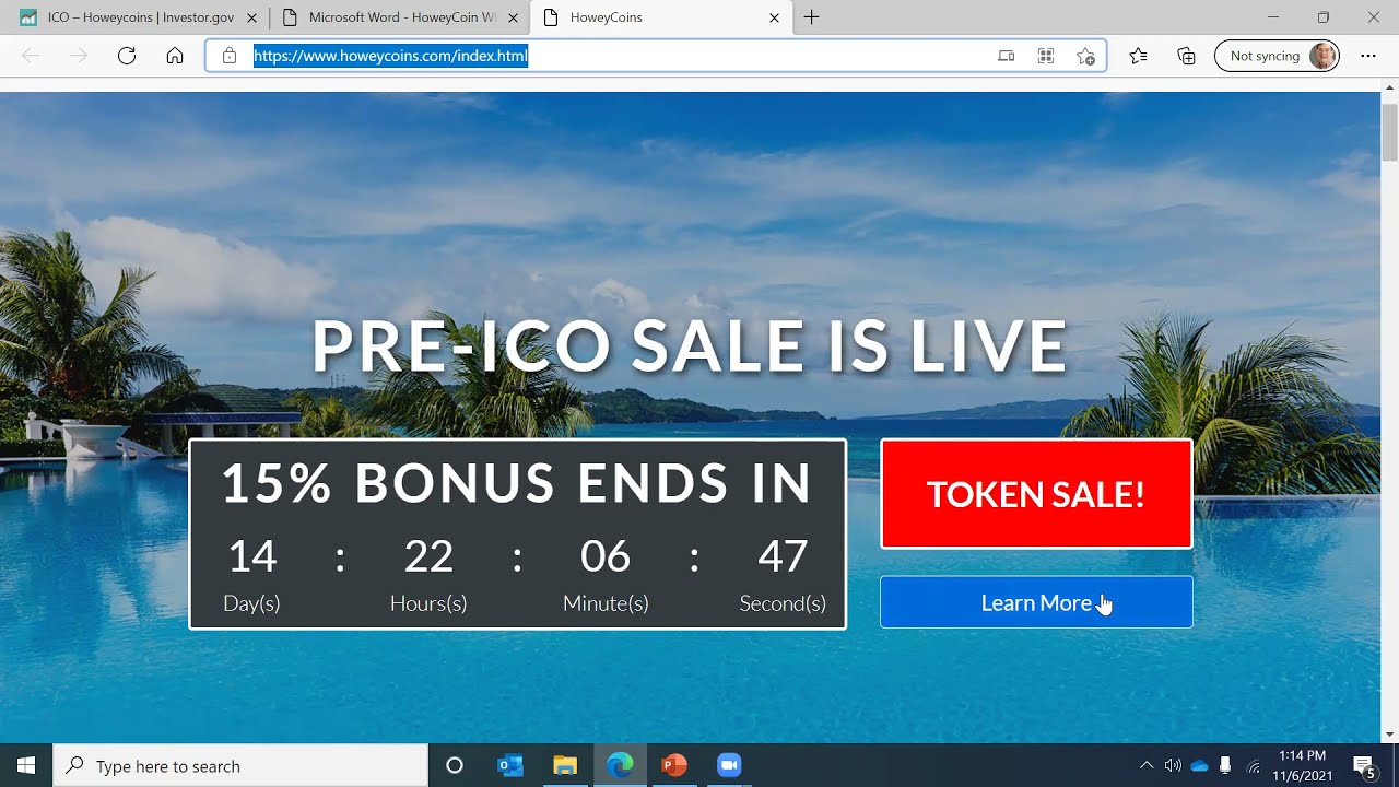 HoweyCoins Initial Coin Offering (ICO) Investment Advice
