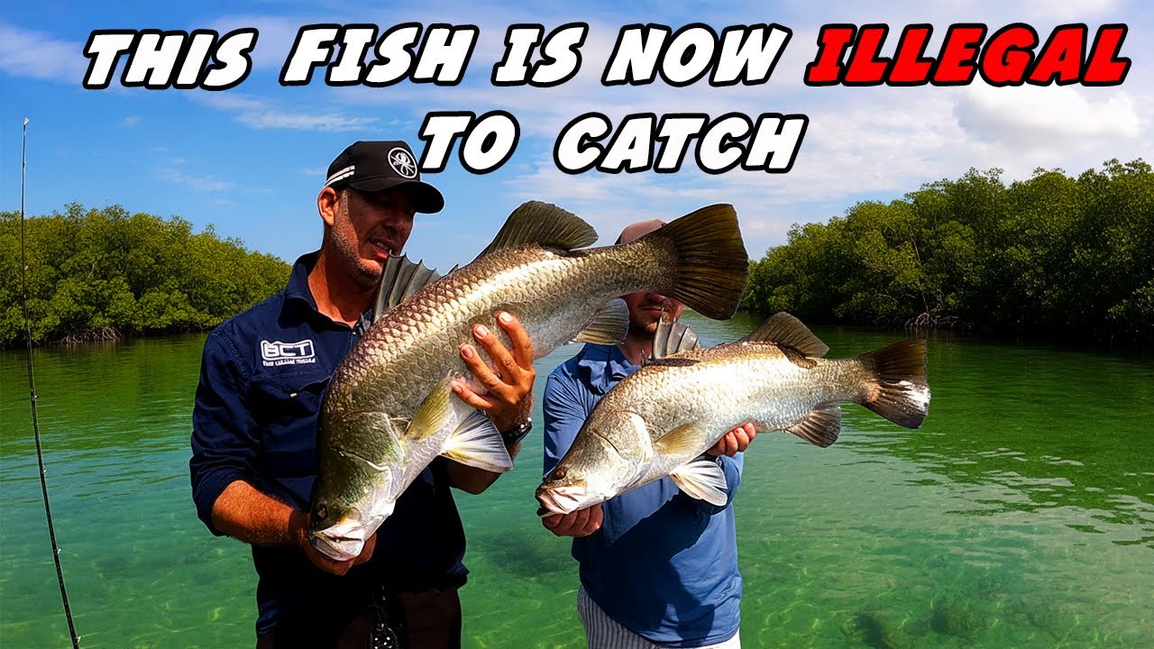 Why You CAN’T Catch This FISH ( Current Law )