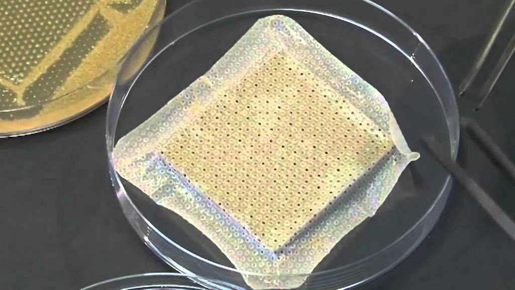 Mepilex Ag Border - Flat wound model
