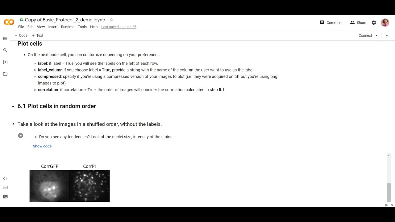 Interpreting image-based profiles: single cell retrieval and visualization using Google Colab