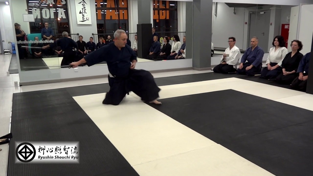 RYUSHIN SHOUCHI RYU. Демонстрация Доминика Пьера Сенсея. 2018 г.
