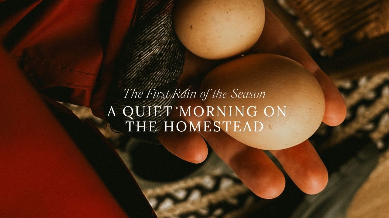 The First Rain of the Season | A Quiet Morning on the Homestead