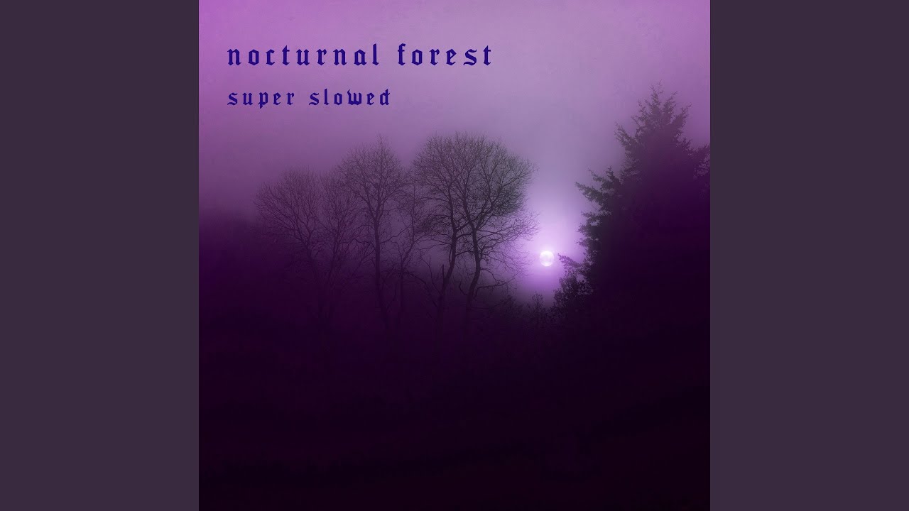 nocturnal forest (super slowed)