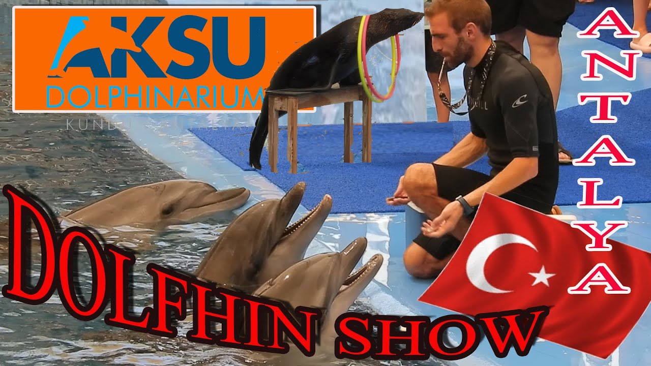 Dolphin-show 4 K/ Delfin-show  Antalya (AKSU) - Turkey / Türkei / Törökország