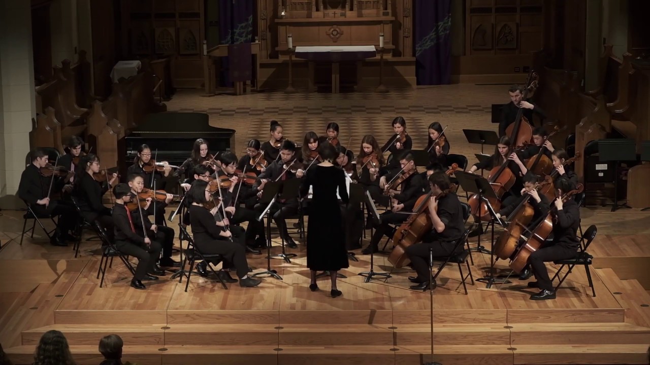 VSO School of Music Sinfonietta - Tchaikovsky Serenade