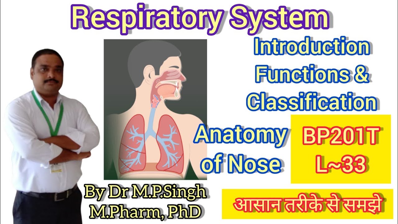 Respiratory System | Introduction, functions, Part & Anatomy of Nose | HAP-II | BP201T | L~33