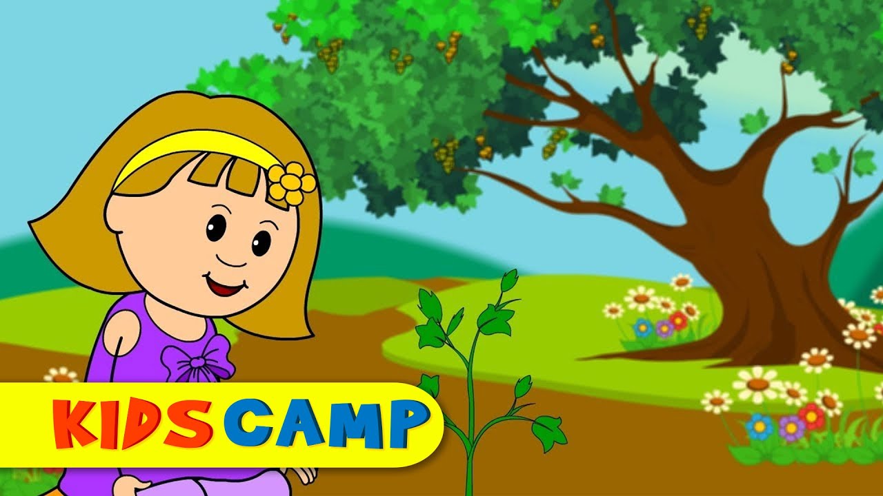 Plant a Tree with Elly - Let it Grow