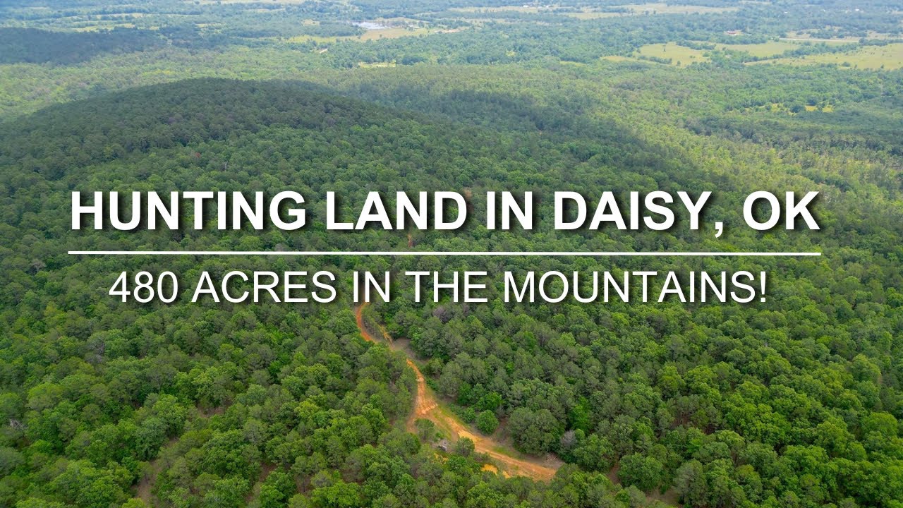 480 Acres of Hunting Land in Daisy, Oklahoma for Sale