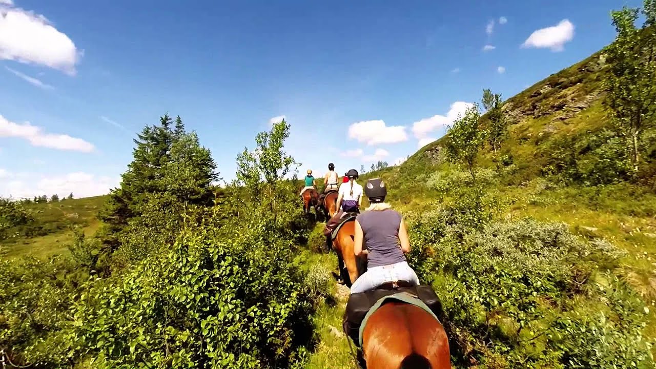 Horseback riding in the Norwegian mountains - Monday part1