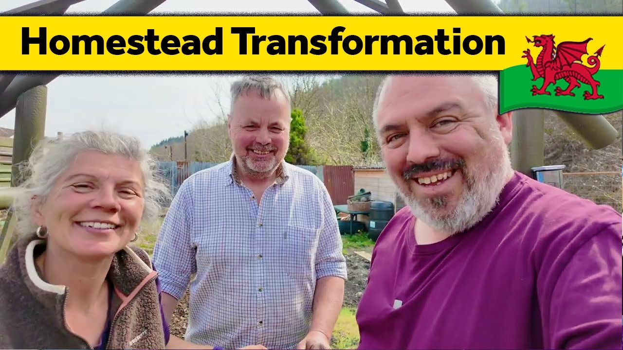 231. Helping Hands in Time of Need - Living Alone in Wales