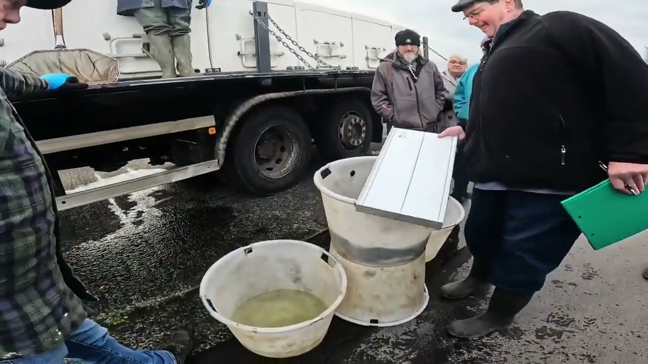 Mon premier relâché de poisson (carpe, Brême, brochet, …)