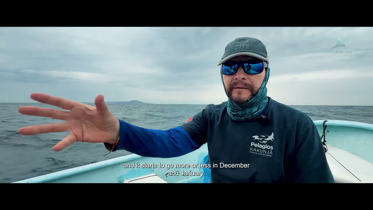 Magdalena Bay & Striped Marlin