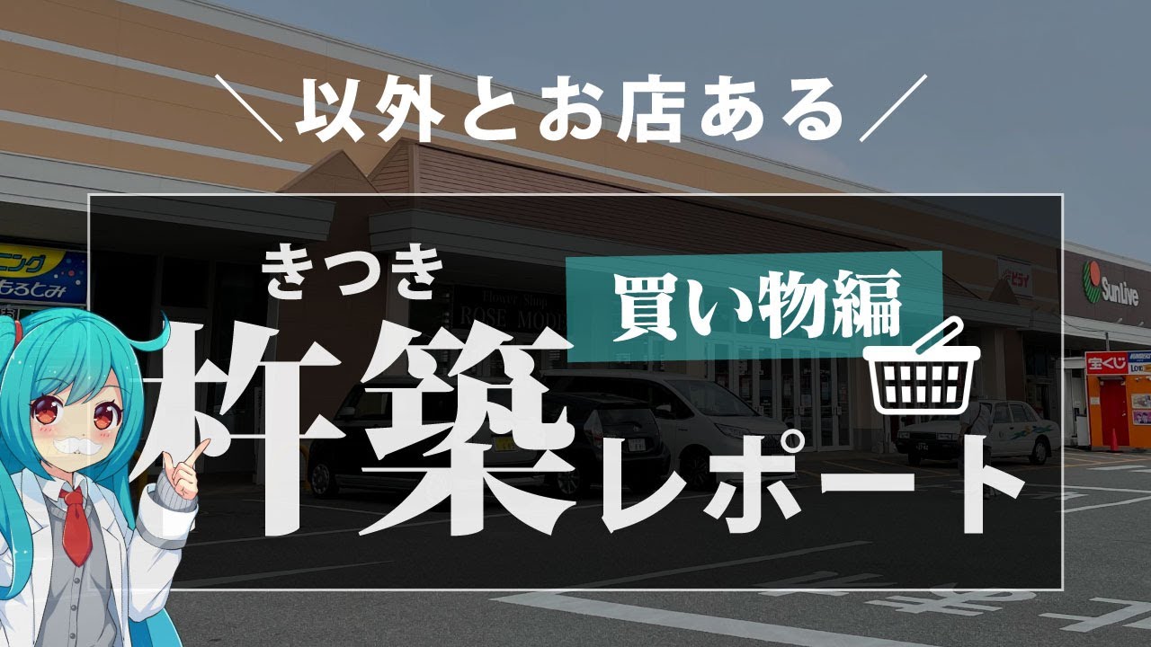 FIRE・セミリタイアの聖地『杵築市』を偵察してきた【買い物編】