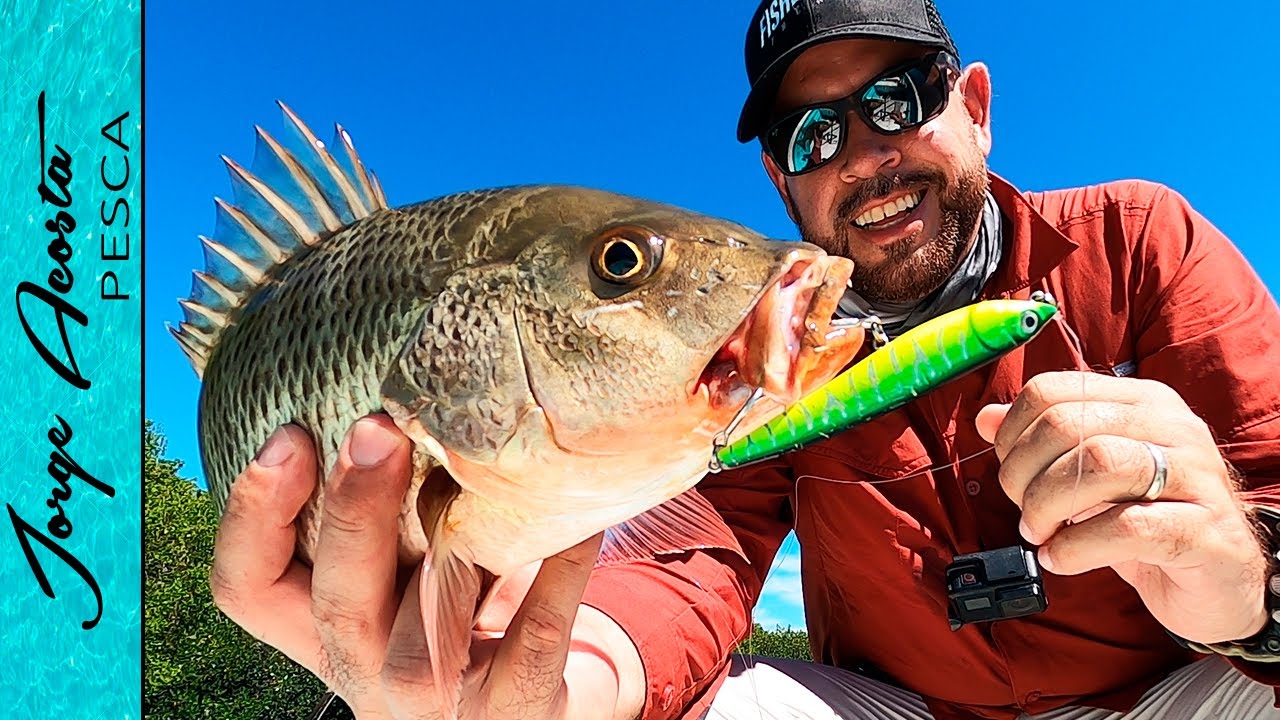 MI MEJOR DÍA DE PESCA en el MANGLAR este año