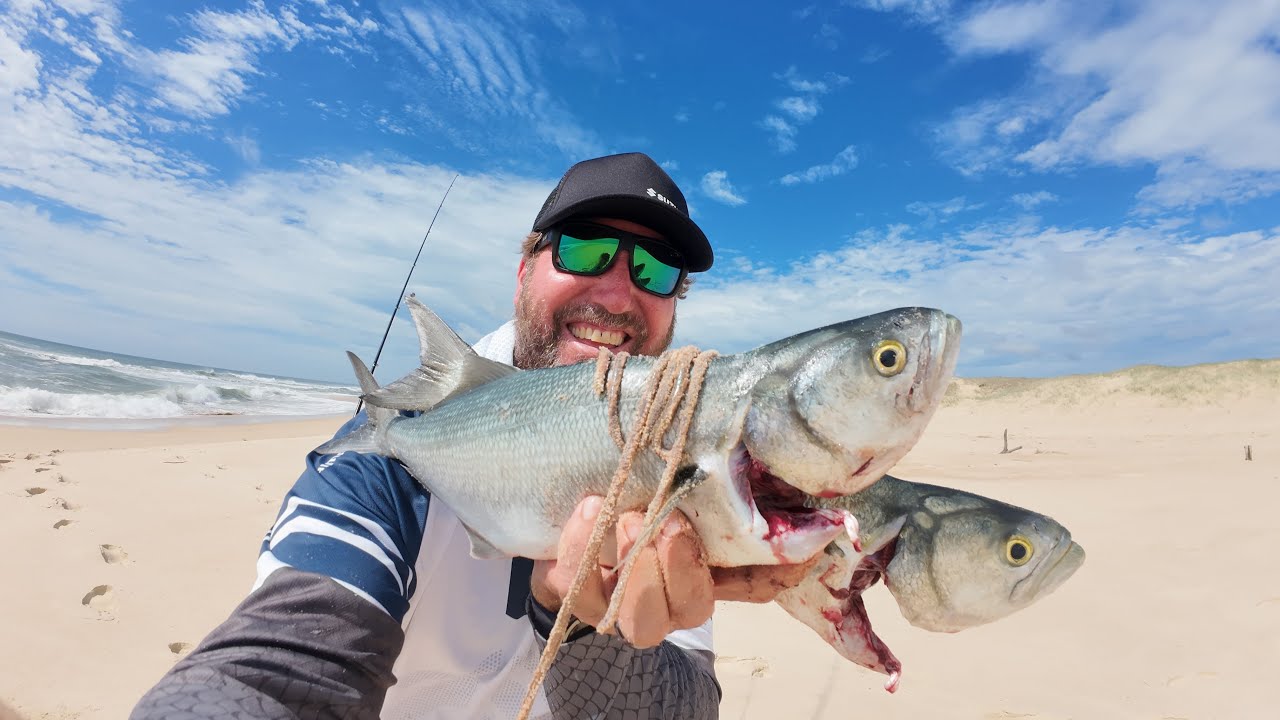 BEACH BONANZA!  WORMS AND GREENBACK TAILOR