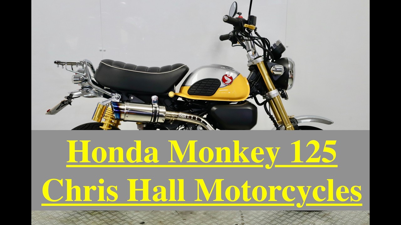 2022 Honda Z125MA-N Monkey @chrishallmotorcycles #honda #motorcycles