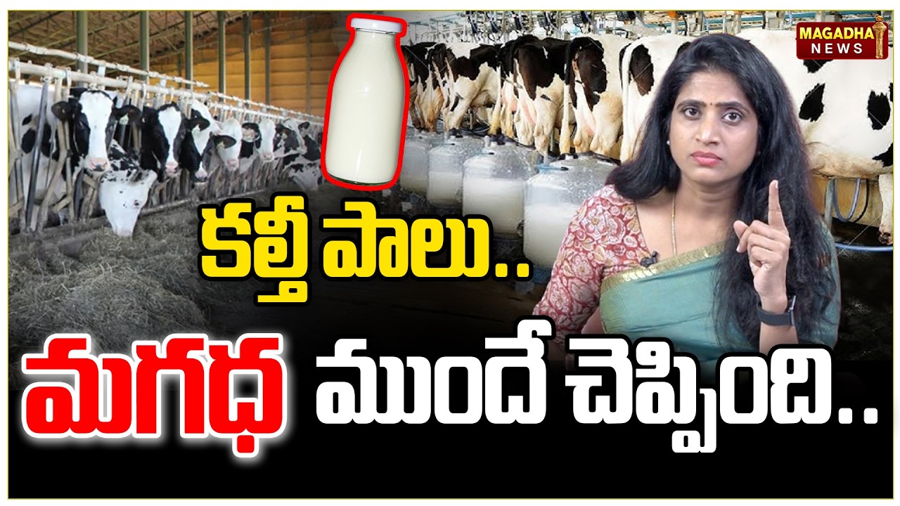 కల్టీ పాలు... మగధ ముందే చెప్పింది... | SS Lakshmi Exclusive Analysis | Magadha News