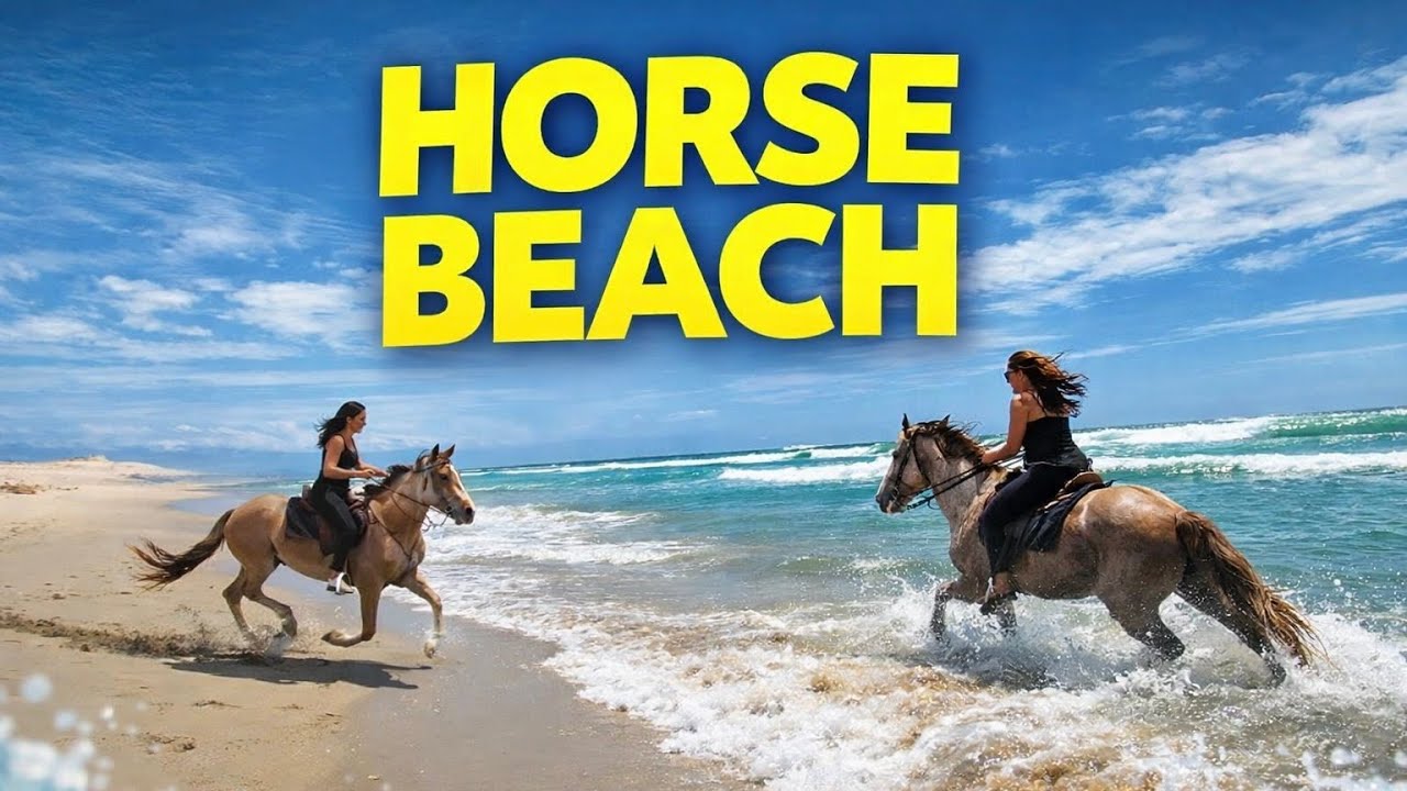 JEZDÍME NA PLÁŽI?!!🌊🐎 BEACH HORSE RIDING✨