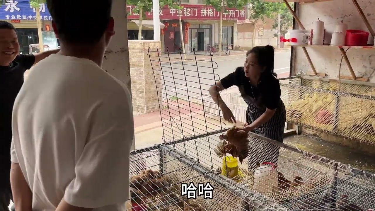 刘辉和世豪路过县城，买小鸡苗小鹅苗。算算成十个小鸡能回本钱。#用抖音记录农村真实生活