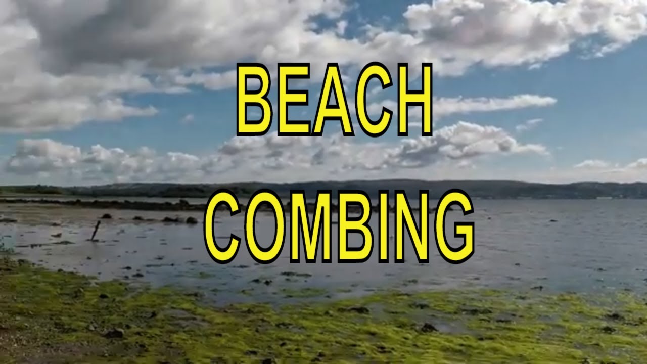Beachcombing Adventure