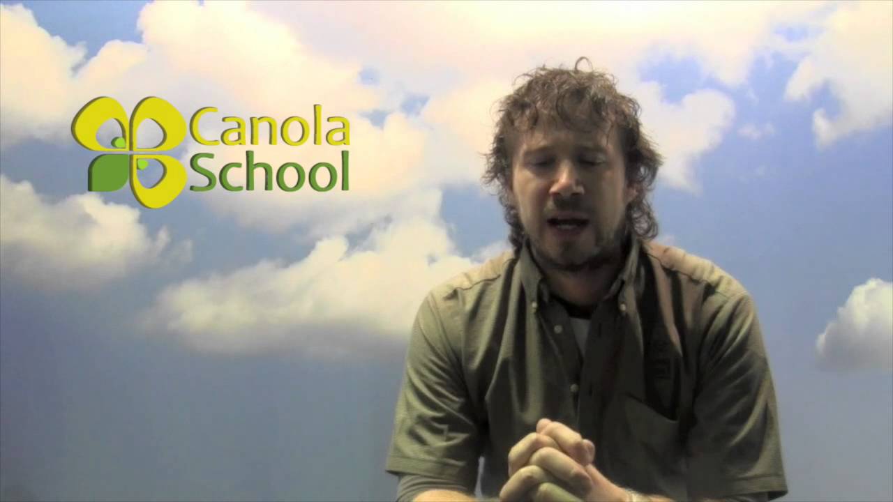 Canola School - What Can Producers Do to Prevent Bee Deaths
