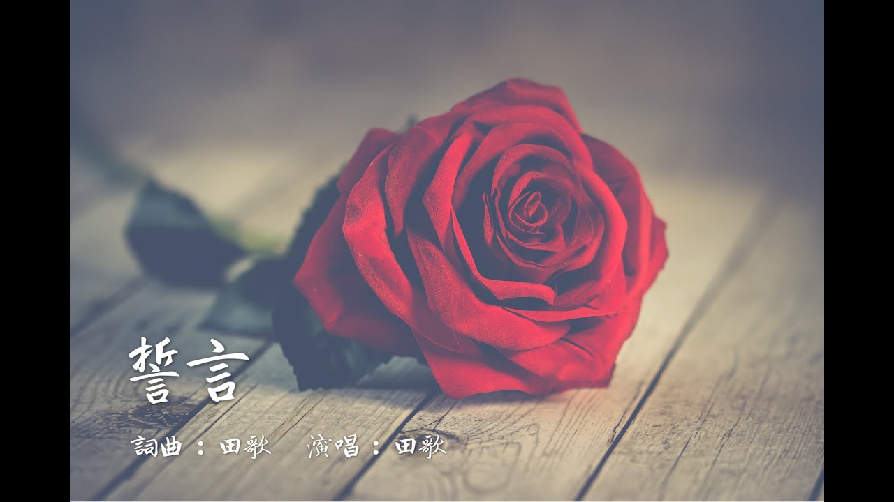 【誓言】【田歌的贊美詩歌集】【華語福音歌曲】【教堂婚禮/結婚/愛情/浪漫】