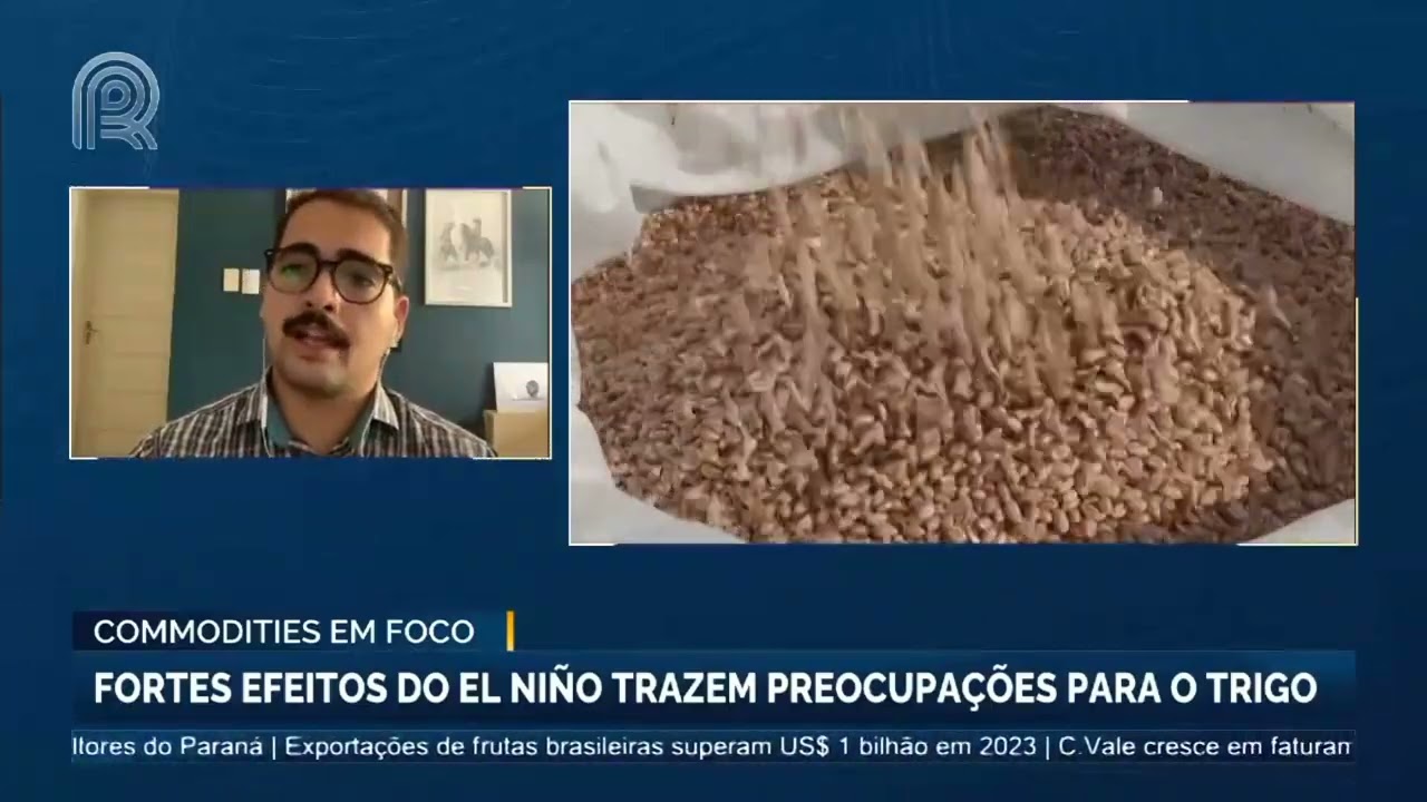 Commodities em Foco: fortes efeitos do El Ni&ntilde;o trazem preocupa&ccedil;&otilde;es para o trigo | Canal Rural