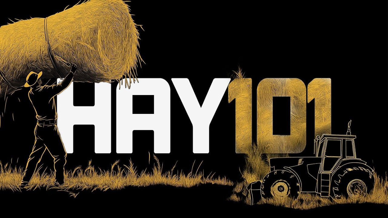 Hay 101 – Everything You Need to Know in 5 Steps